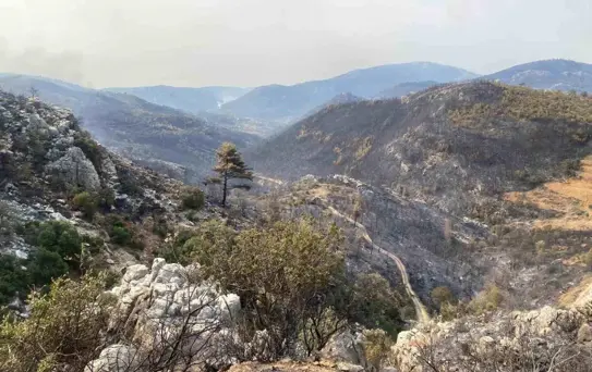 Mersin'deki Orman Yangınları Kontrol Altında
