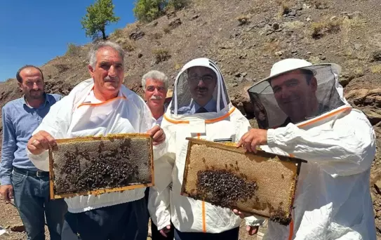 Sincik'te Organik Bal Hasadı Başladı