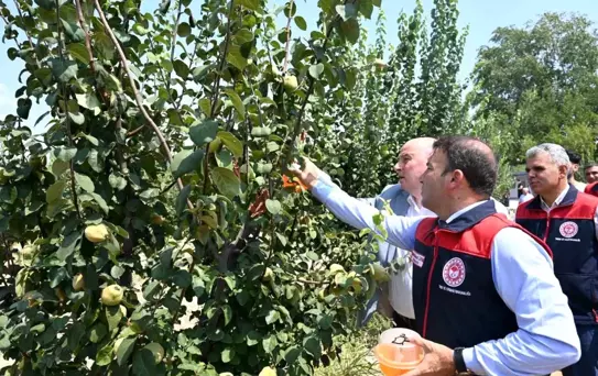 Denizli'de Üreticilere Tuzak Desteği