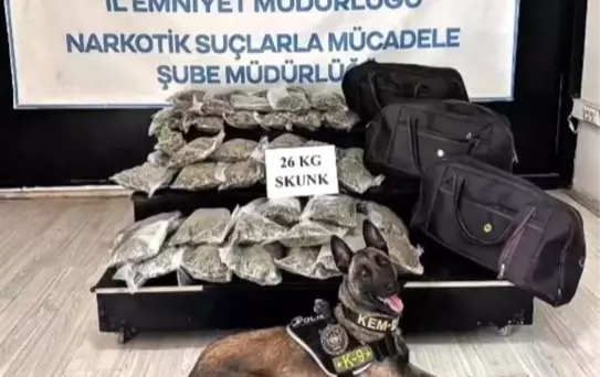 Yüksekova'da 26 KG Skunk Ele Geçirildi