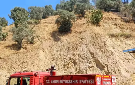 Aydın'da Zirai Alanda Yangın Kontrol Altına Alındı