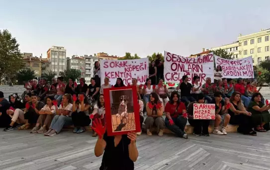 Lüleburgaz'da Sokak Hayvanları İçin Sessiz Eylem