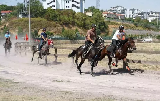Gölcük'te Geleneksel Rahvan At Yarışları Heyecanı