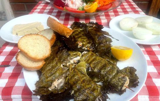 Sardalya Mevsimi Geldi!