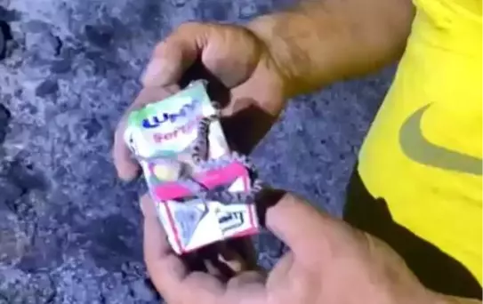Yangından Kurtarılan Yavru Yılan