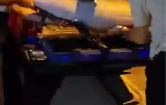 Bursa'da Ölü Yunus Kıyıya Vurdu