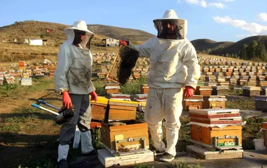 Bayburt'ta Bal Üretimi Devam Ediyor