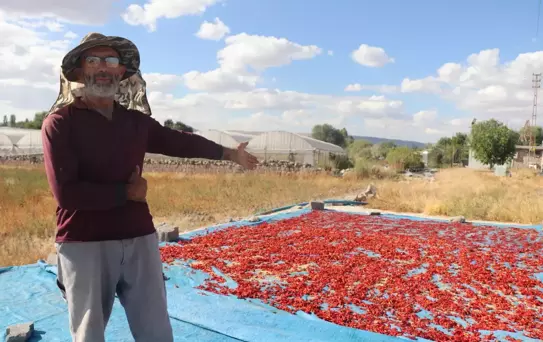 Cırgalan Biberinde Kurutma Mesaisi Başladı