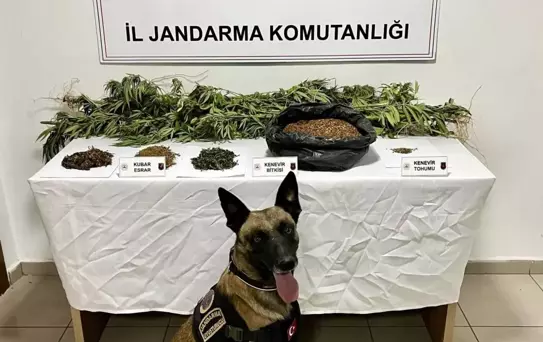 Afyonkarahisar'da Uyuşturucu Operasyonu