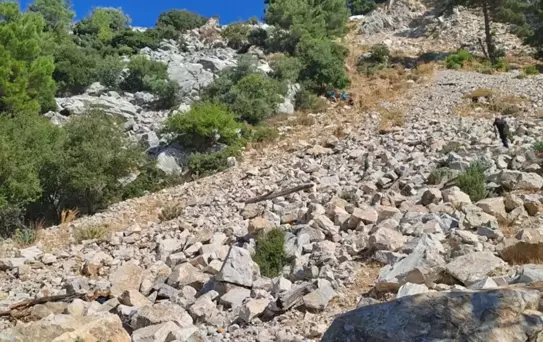 Arıcı Uçuruma Düştü