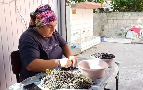 Aronya Meyvesi Suyuna Yoğun İlgi