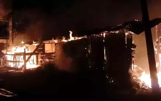 Tirebolu'da Yangın: Bir Ton Fındık Yandı