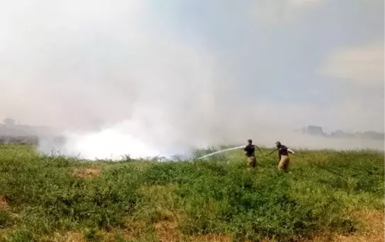 Manyas'ta Yangın: Ekipler Müdahale Ediyor