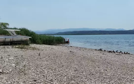 Sapanca Gölü'nde Ekolojik Kriz Uyarısı