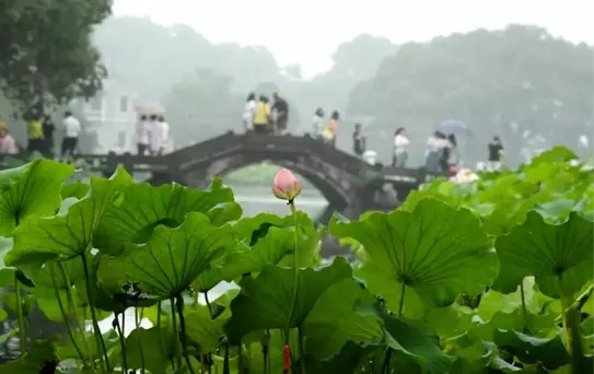 Dünya Biyosfer Rezervleri Kongresi Hangzhou'da