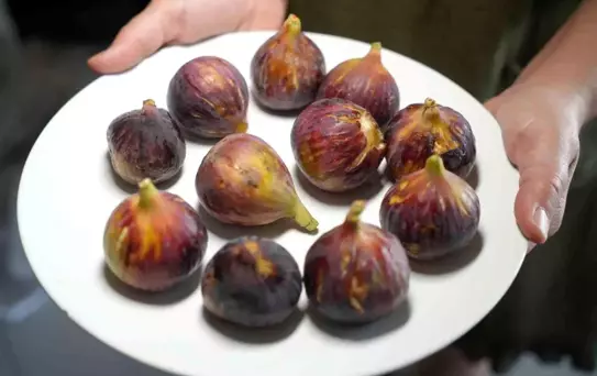 İnciri Kabuğuyla Tüketin!