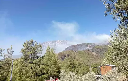 Alanya'daki Orman Yangınları Kontrol Altına Alınamıyor