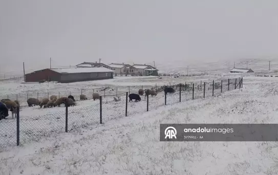 5 ilde etraf beyaza büründü! Kar kalınlığı 60 santimetreye ulaştı