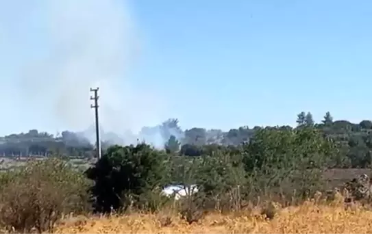 Muğla'da Makilik Alanda Yangın Çıktı