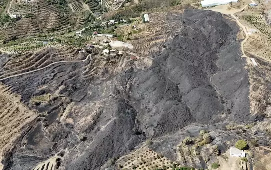 Alanya'da Orman Yangını: 1350 Hektar Zarar Gördü