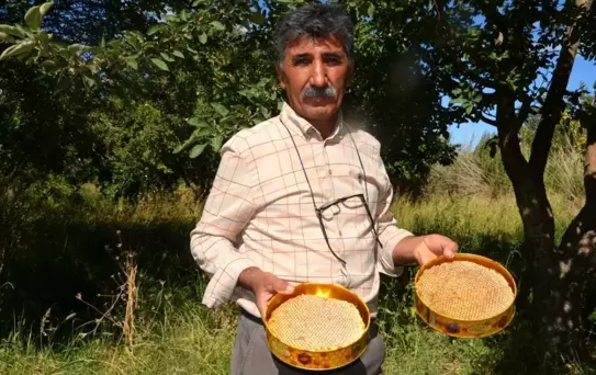 Arguvan'da Güvenilir Bal Satışı