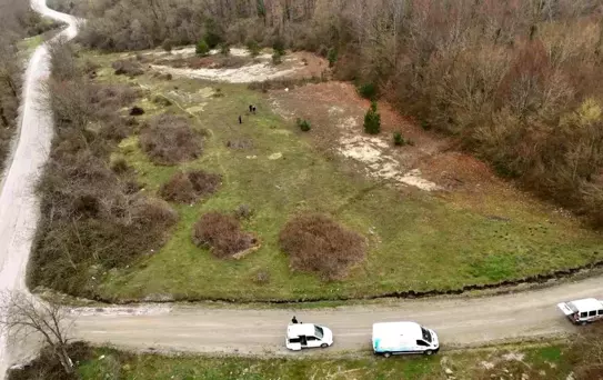 Samsun'da Hayvan Barınağı Tartışmaları: Yetkililerden Açıklama