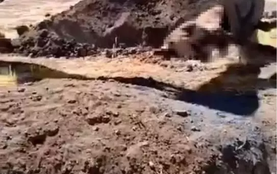 Elazığ'da Ölü Hayvanın Mahalle İçerisinde Gömülmesine Tepki