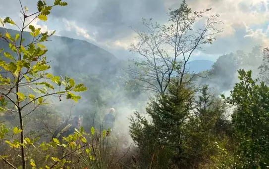Sinop'un Türkeli İlçesinde Yangın Kontrol Altına Alındı