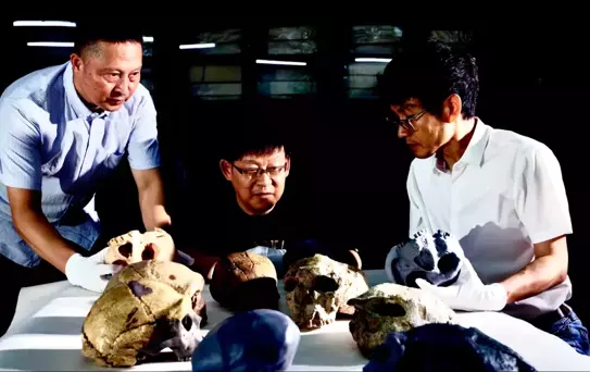 Çin'de 1 Milyon Yıllık Kafatası Bulundu