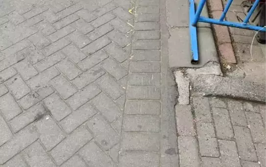 Gaziosmanpaşa'da Pitbull Saldırısı: Bir Köpek Öldü