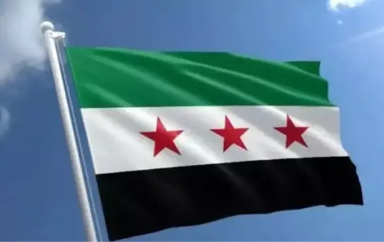 Esad'a Gıyabi Tutuklama Kararı Çıktı