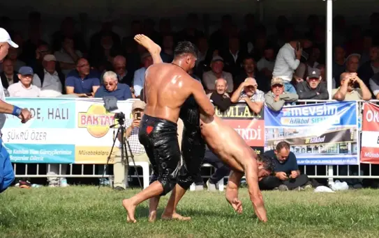 14 Yıl Aradan Sonra Sungurlu'da Yağlı Pehlivan Güreşleri Coşkuyla Yapıldı
