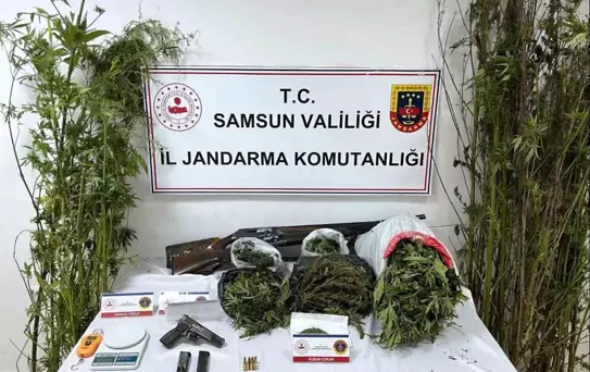Samsun'da Uyuşturucu Operasyonu: 1 Gözaltı