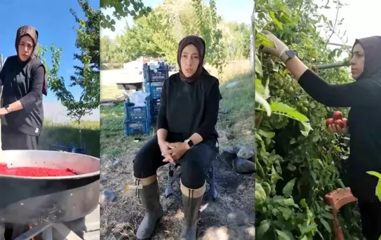 Kadın Girişimci Zeynep Ciminli, 8 Dönümlük Sera Kurdu