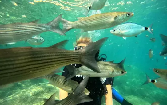 Marmaris'te Dalış Turizmi Artıyor