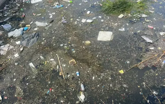 Halkapınar Deresi'nde Kirlilik Sorunu