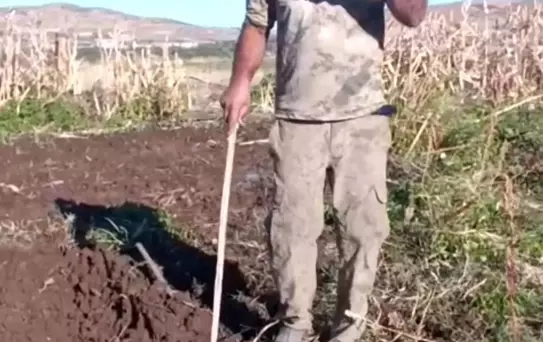 Domuza sosyal medyadan ateş püskürdü: Senin kalemini kıracağım