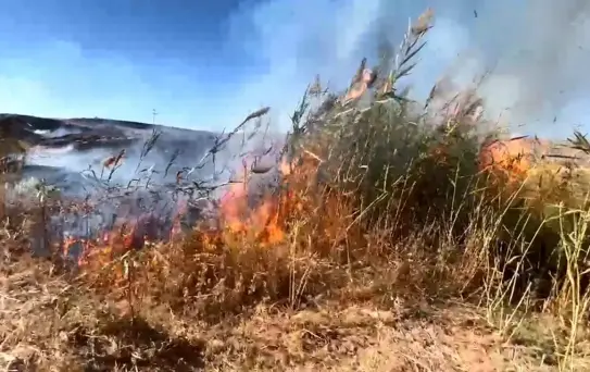 Elazığ'da Otluk Alanda Yangın