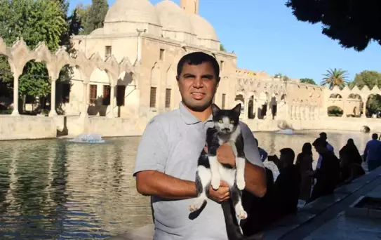 Kedi Kurtarma Hikayesi