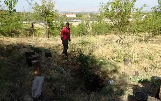 Malatya'da Kayısı Bahçesinde Obruk Oluştu