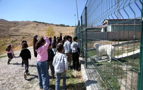 Van'da Dünya Hayvanları Koruma Günü Etkinlikleri