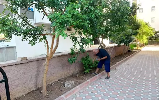Adana'da Çalınan Telefonun İzinde