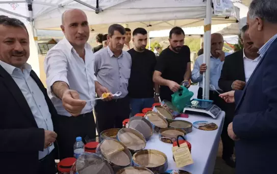 Sason Balı, Ceviz ve Çilek Festivali'nde 1 Kilo Bal 340 Bin Liraya Satıldı