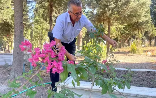 Ağaççı Hoca'nın Mezarlık Sevgisi
