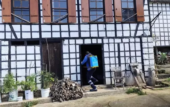 Kahverengi Kokarca ile Mücadele Devam Ediyor