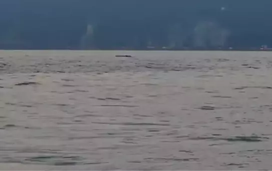 İnsansız Deniz Aracı Hopa'da İmha Edildi