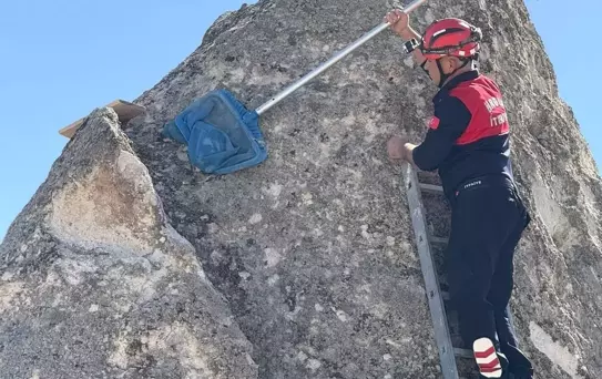 Göreme'de Mahsur Kedi İtfaiye Tarafından Kurtarıldı