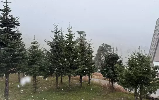 Bolu'da Kar Yağışı Başladı
