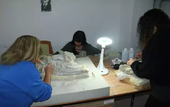 Çankırı'da 9 Milyon Yıllık Zürafa Fosili Bulundu
