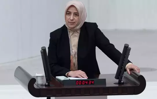 Sözleri tepki çeken Özlem Zengin, geri adım attı